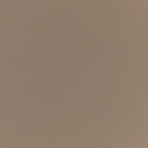 Meet your Posher, Palak